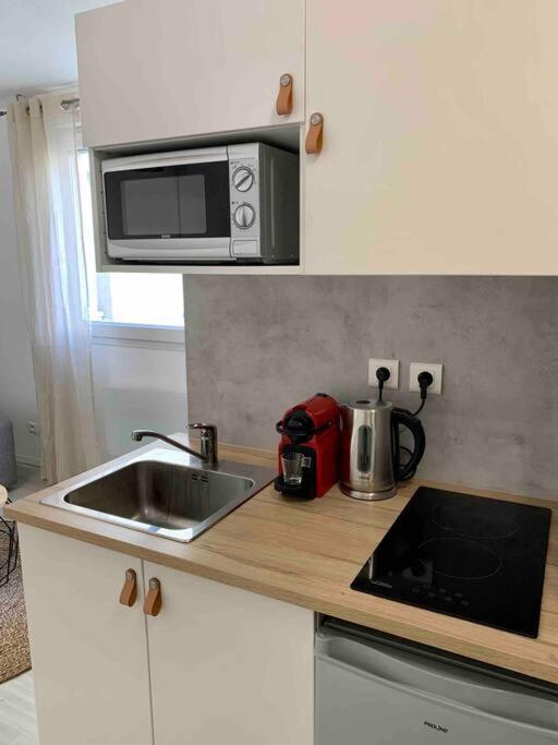 Studio Le Pensier - Monplaisir Lione Esterno foto