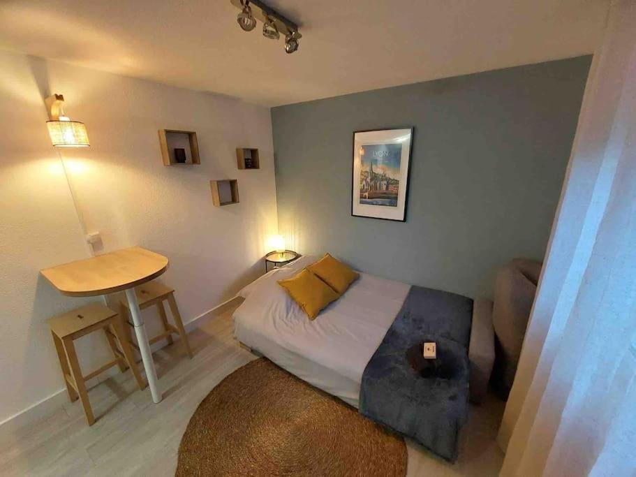 Studio Le Pensier - Monplaisir Lione Esterno foto